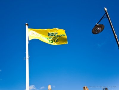IMG_6333.JPG