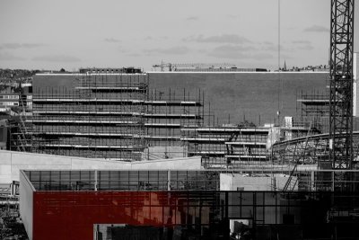 _MG_4130bw.JPG