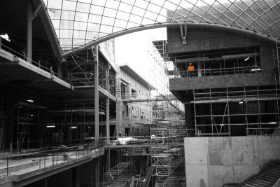 _MG_2290bw.JPG