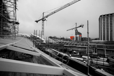 _MG_2377bw.JPG
