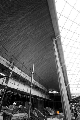 _MG_2503bw.JPG