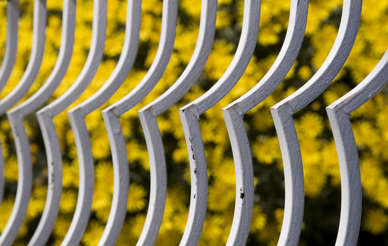 Railings nflowers