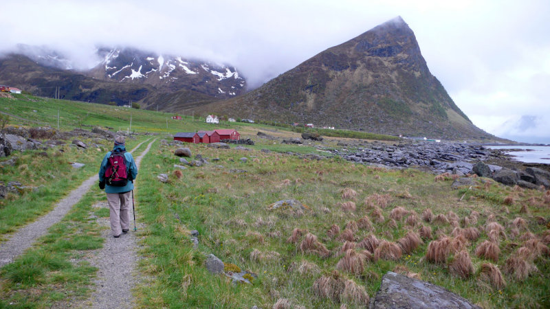 Lofoten walk