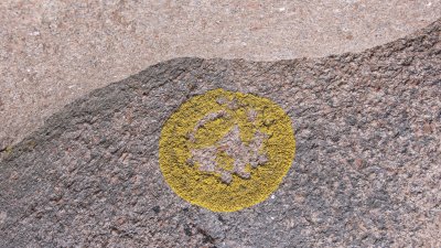 Granite and lichen