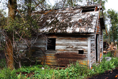 Old Shed