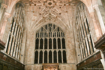 Winchester Cathedral 6