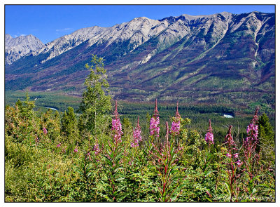 Scenic Kootenay 4