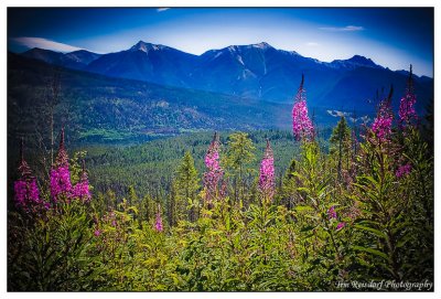 Scenic Kootenay 3