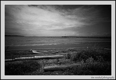 Dark Skies from Beach