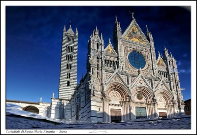 Cattedrale di S.Maria Assunta  -  Siena
