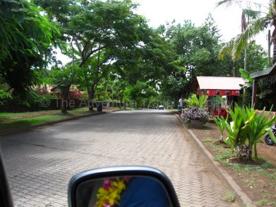 IMG_07229.jpg