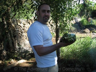 IMG_07474.jpg