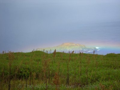 IMG_07981.jpg