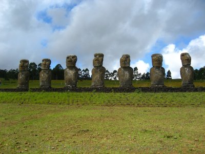 IMG_08103.jpg