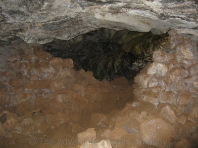 IMG_08123.jpg