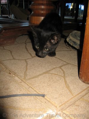 IMG_08195.jpg