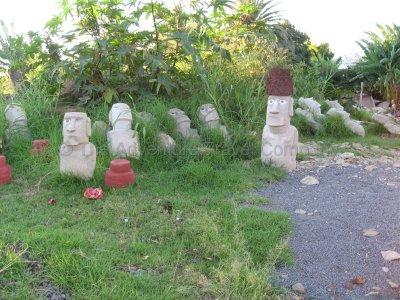 IMG_08209.jpg