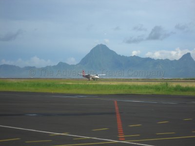 IMG_08268.jpg