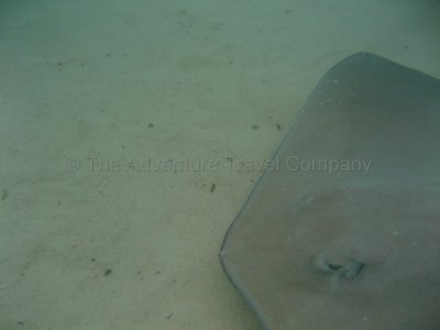 IMG_08569.jpg