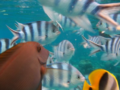 IMG_08585.jpg