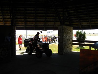 IMG_08930.jpg