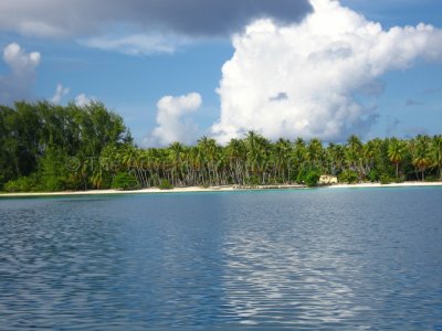 IMG_08969.jpg
