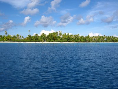 IMG_08984.jpg