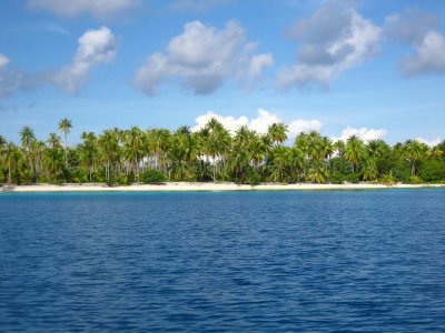 IMG_08987.jpg