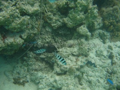 IMG_09177.jpg