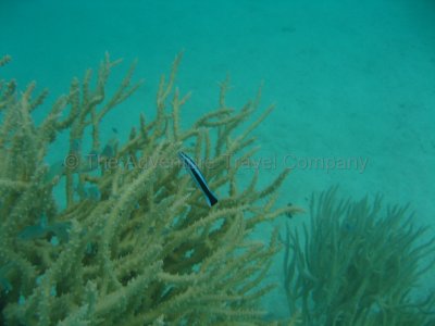 IMG_09182.jpg