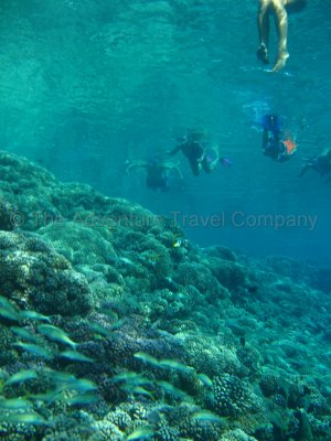 IMG_09233.jpg