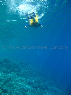 IMG_09243.jpg