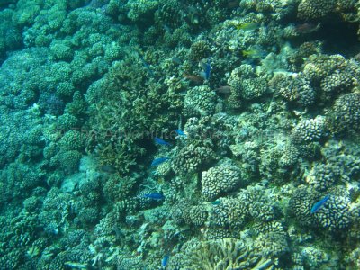 IMG_09244.jpg