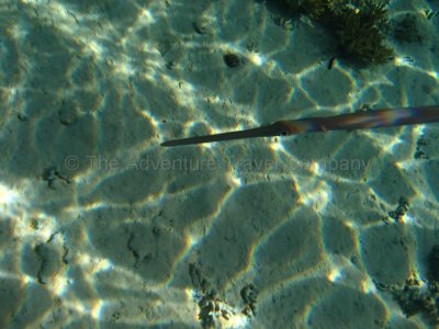 IMG_09261.jpg