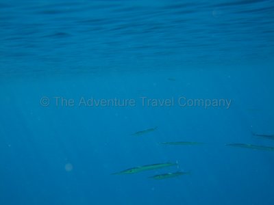 IMG_09273.jpg