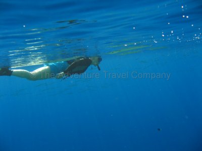 IMG_09292.jpg