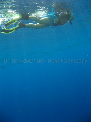 IMG_09294.jpg