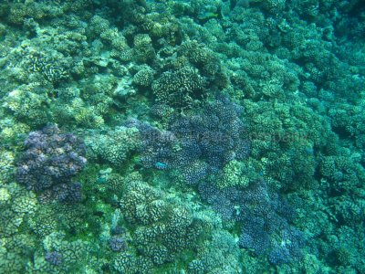 IMG_09303.jpg