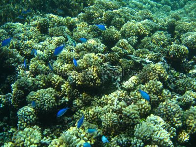 IMG_09321.jpg