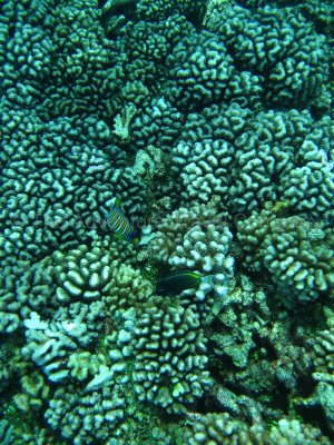 IMG_09337.jpg