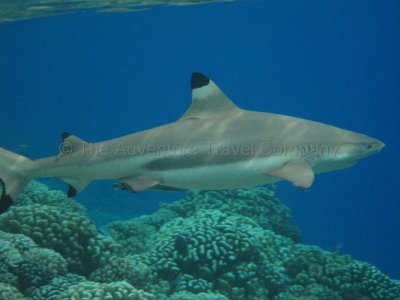 IMG_09377.jpg