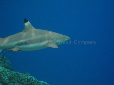 IMG_09378.jpg