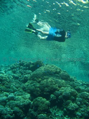 IMG_09412.jpg