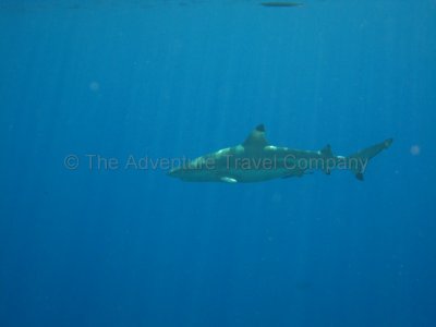 IMG_09423.jpg