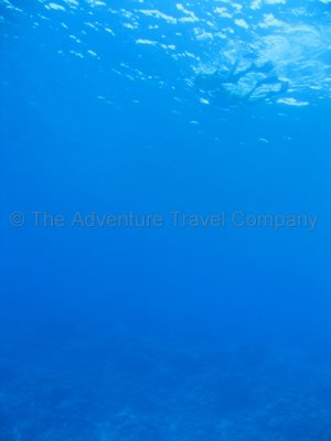 IMG_09443.jpg