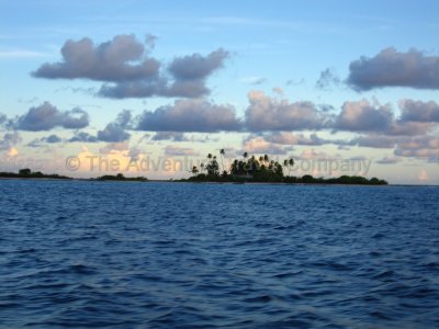IMG_09485.jpg
