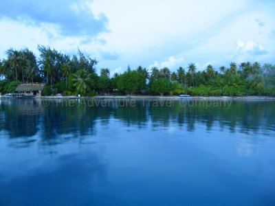 IMG_09511.jpg