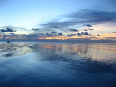 IMG_09514.jpg