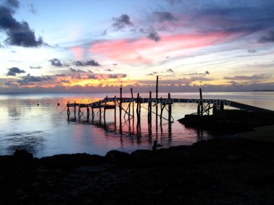 IMG_09534.jpg