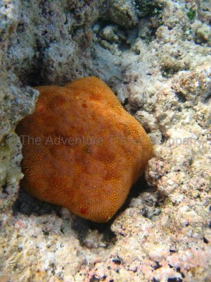 IMG_09701.jpg